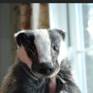 Meet your Posher, Ivan